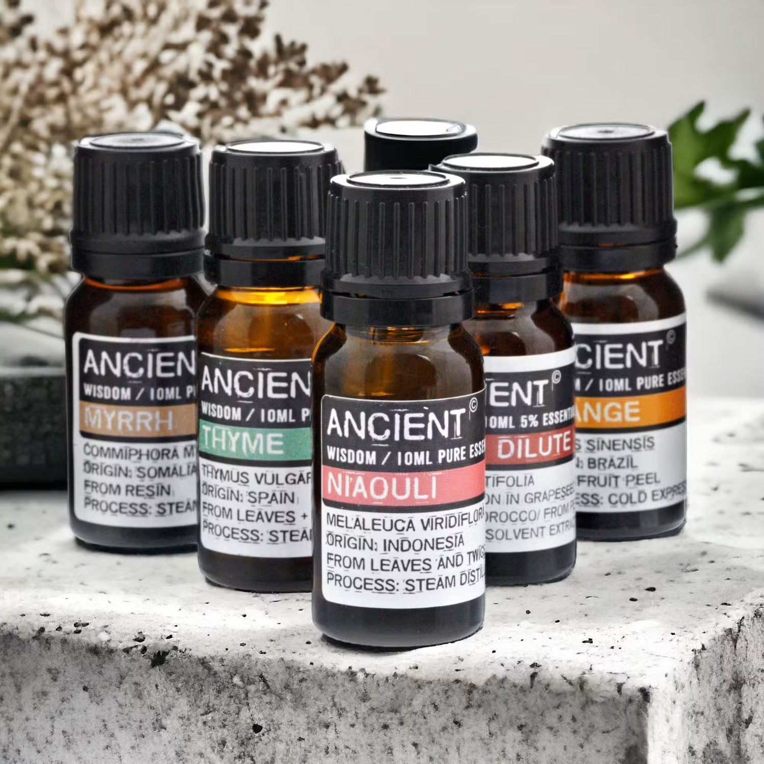 Essential Oils (10ml bottles)